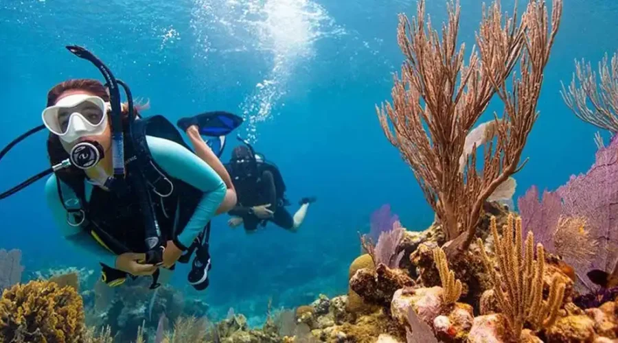 musandam-diving-trips